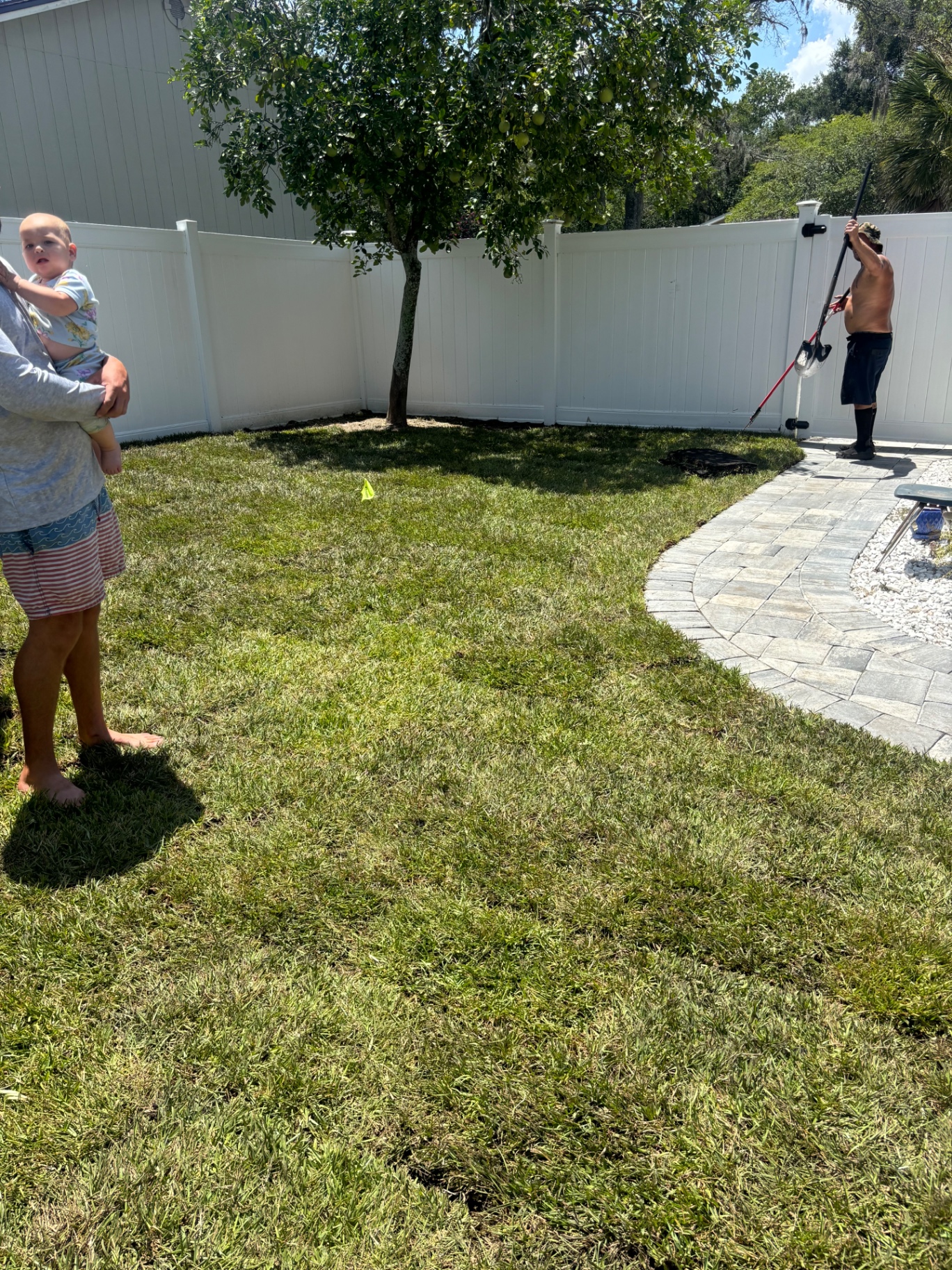 After — Dirt yard around above-ground pool transformed into sodded lawn with paver patio