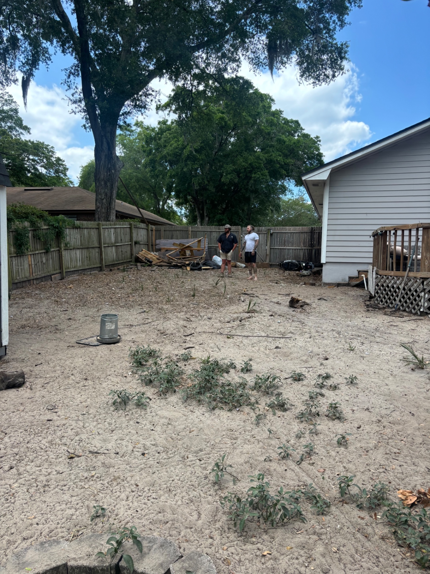 Before — Bare dirt side yard transformed into fresh green sod lawn along fence line