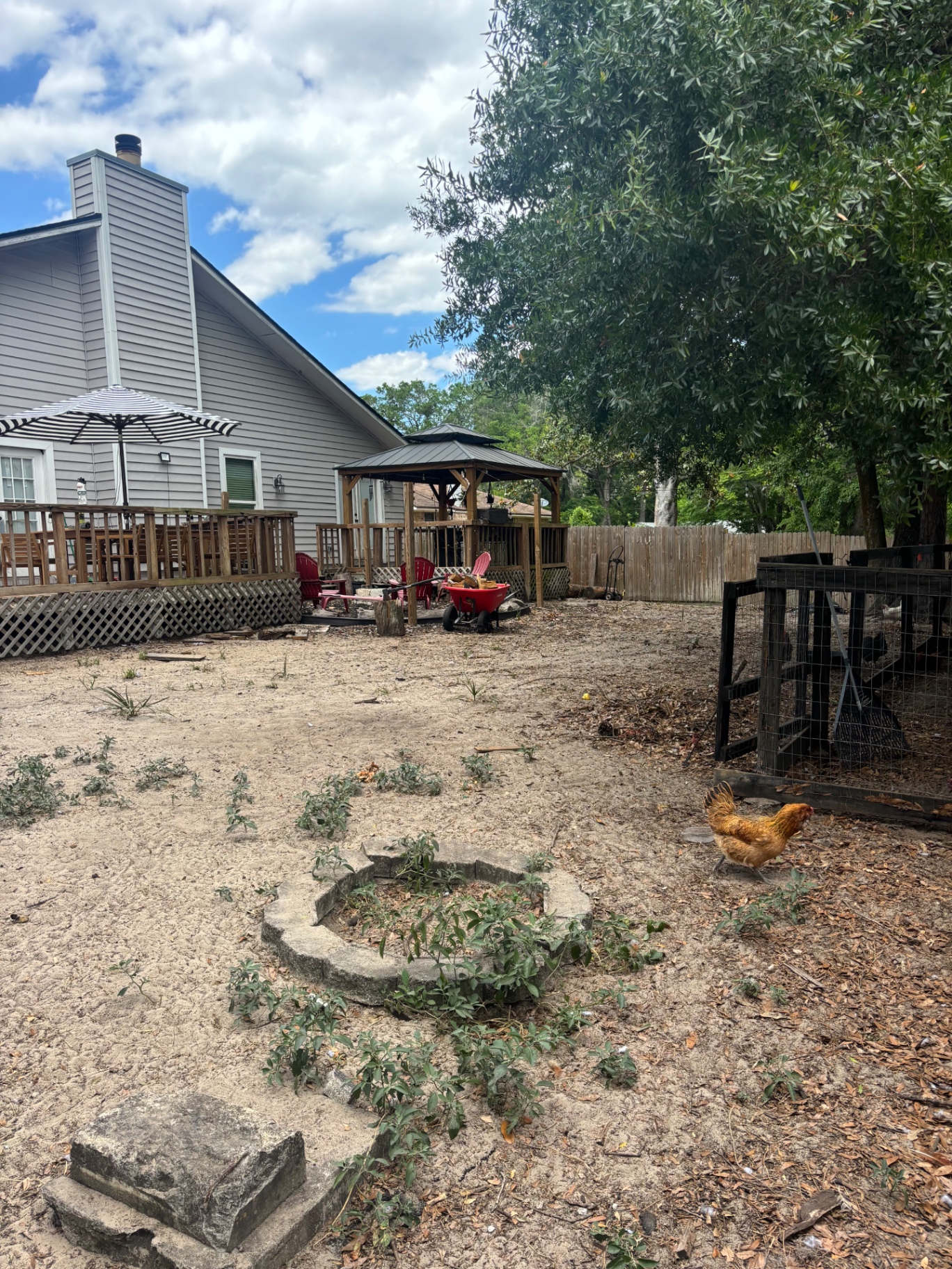 Before — Backyard · Gazebo + Full Sod