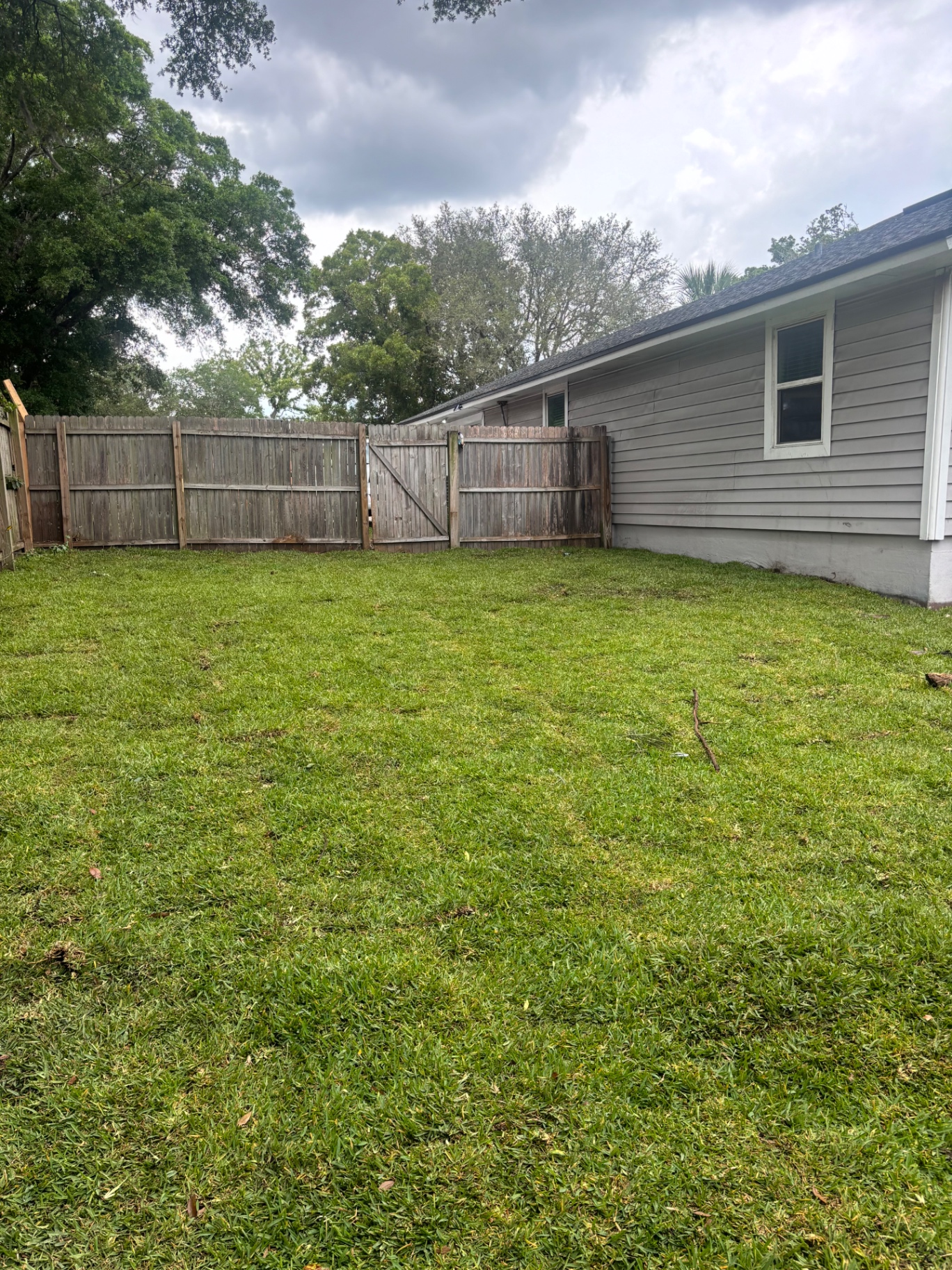 After — Bare dirt side yard transformed into fresh green sod lawn along fence line