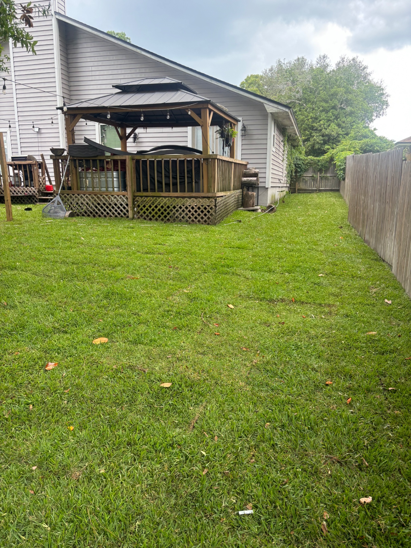 After — Backyard · Gazebo + Full Sod
